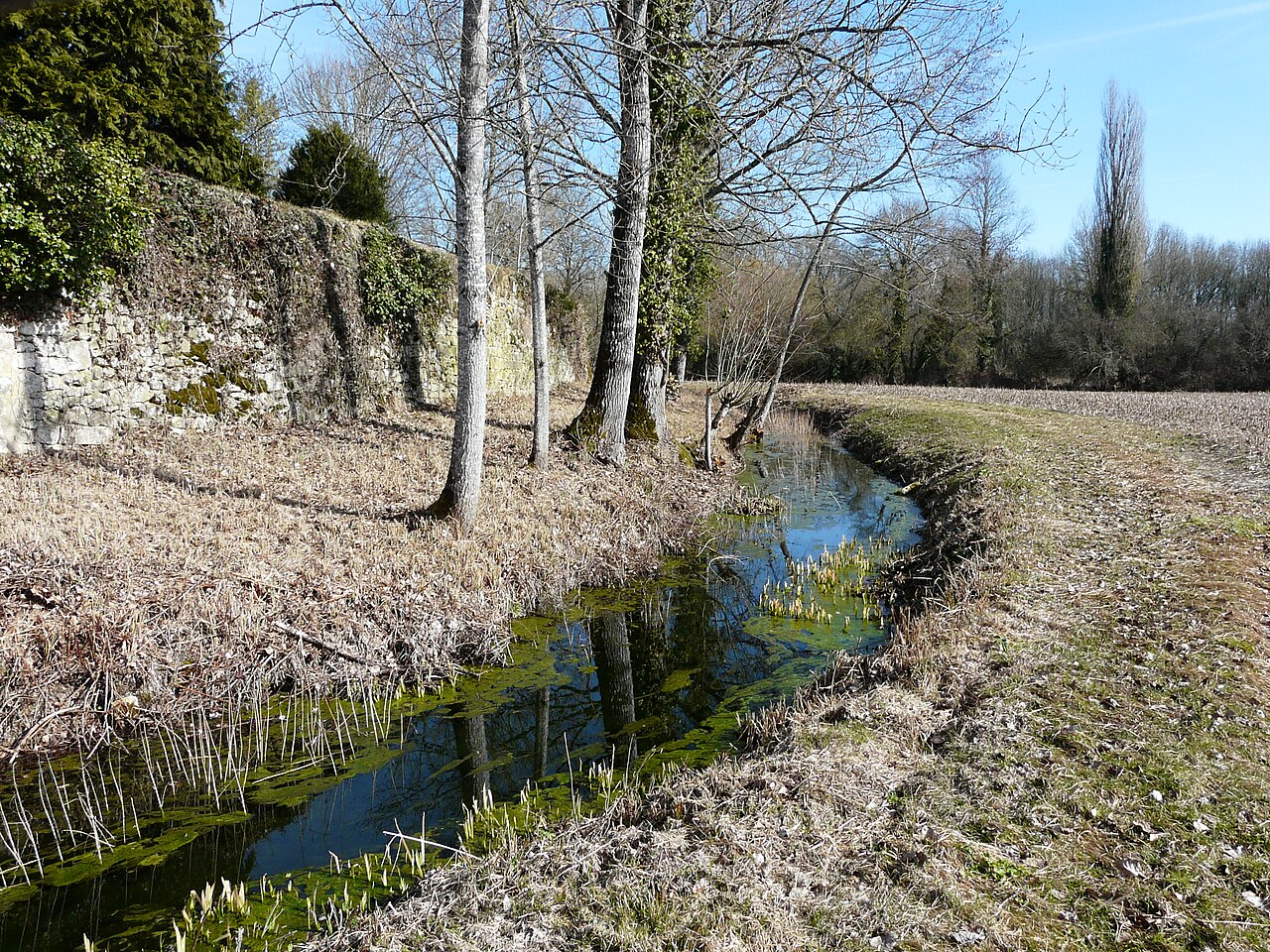 Château de La Tour-Blanche en Dordogne